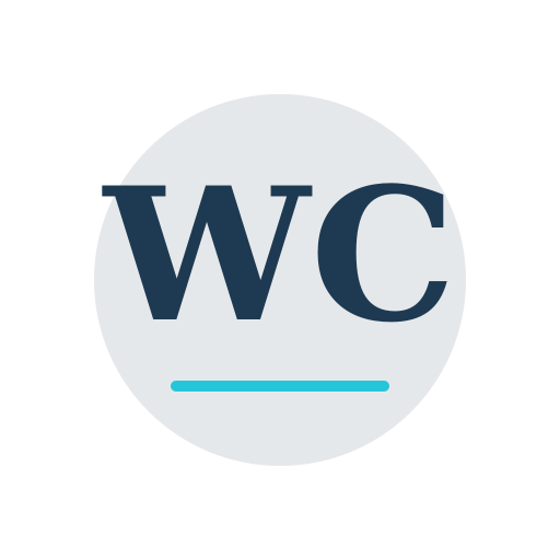 Winter Chimney Repair logo